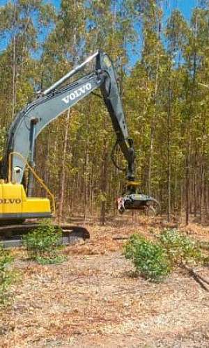 Cabeçote triturador Cabeçote triturador